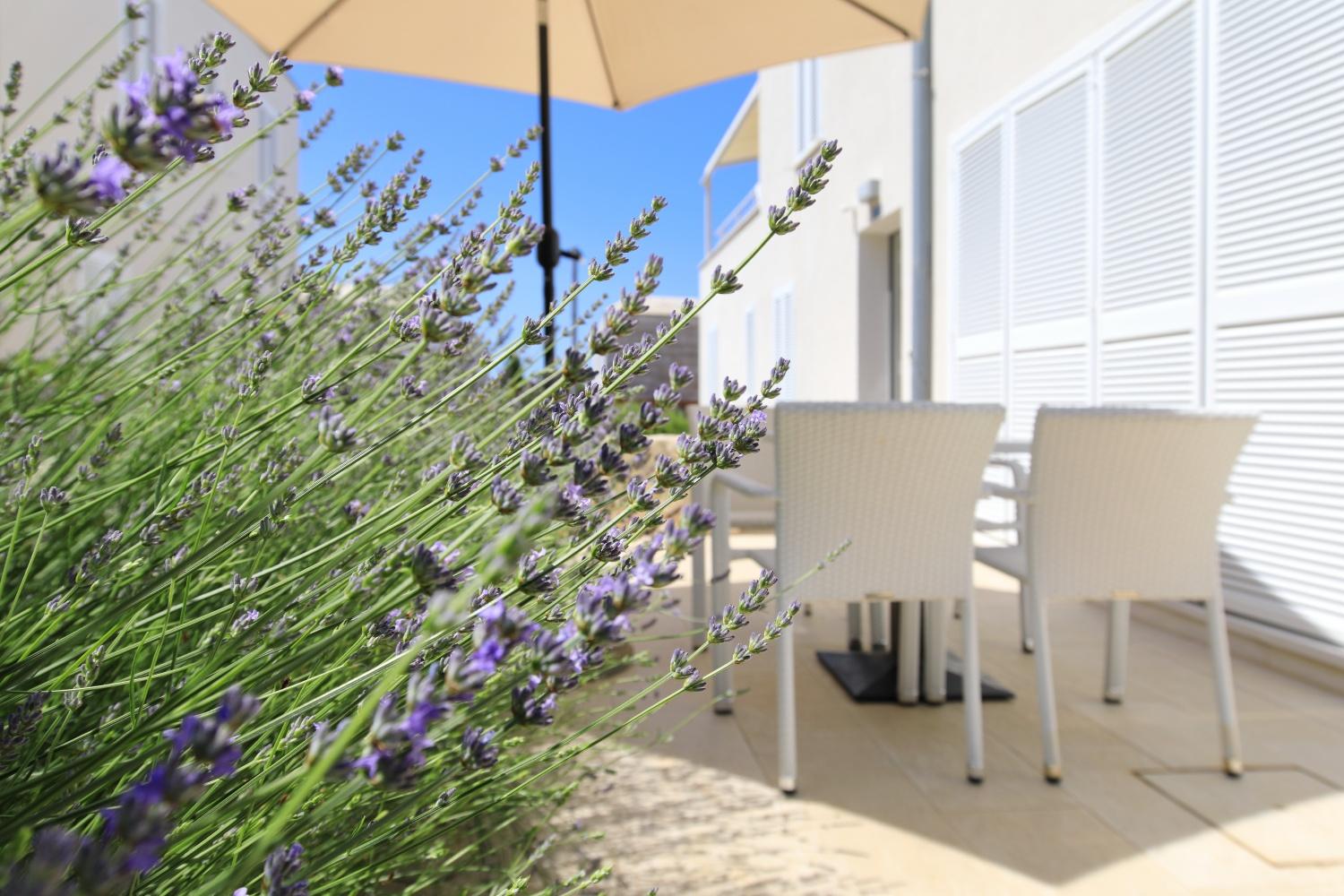 Sunnyside Apartments Resort Petrčane Kültér fotó